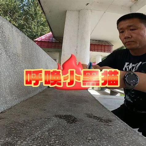 黑猫寓意|为什么中国传统文化中少有猫的出现，如果有，能否举。